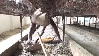 Waste management of poultry farms