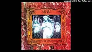 P&auml;r Lindh Project - The Crimson Shield