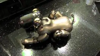 Aibo Clinic Mode