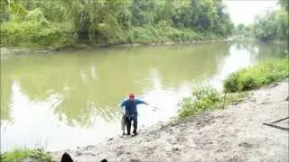 Chinook Salmon caught on the Nottawasaga River.