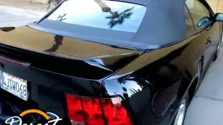 2000 Ford  Mustang - Desert Import Export