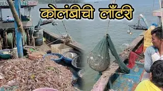 पापलेट आणि कोळंबी मासेमारी चा थरार l #kolambi #prawns #Pomfretfishing #fishing #masemari  #kokan 