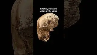 The Starving Settlers of Jamestown #history #archeology #artefacts