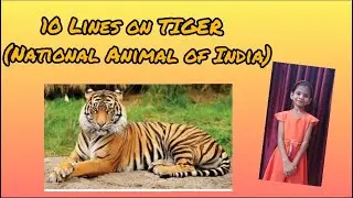10 lines on Tiger | 10 lines on Nation animal in English | Easy lines about Tiger | Eassy on Tiger