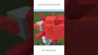 Another glitch from ohio (Minecraft)