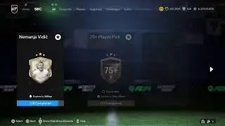 FIFA 24 rewards ELITE division