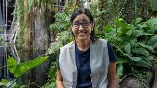 Conchi Merino: 