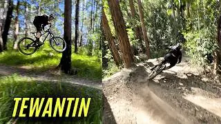 Riding Tewantin MTB in 2025 | Still fun?