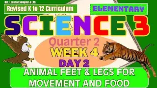 Grade 3 Science Q2 W4 D2 | Animal Feet & Legs for Movement and Food |Revised K-12 Matatag