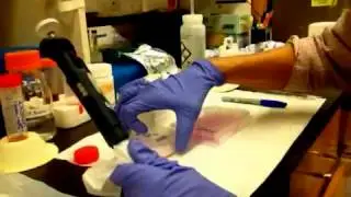 How to clone adherent eukaryotic cells with the agarose method