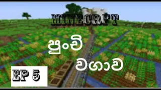 කඩවල් 2 ක්‌ සහ වගාව ☺️☺️❤️❤️
