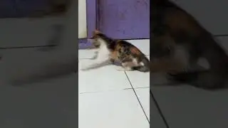 tarik kain 😁