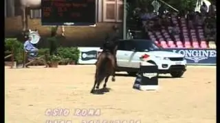 Fixdesign Amerigo - Filippo Bologni CSIO5* ROMA 8&deg; Premio Land Rover , Winning Round