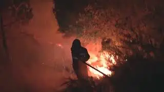 Firefighters battle wildfire in dense Galician forest | REUTERS