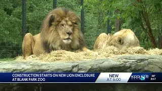 Construction starts on new lion enclosure at Blank Park Zoo