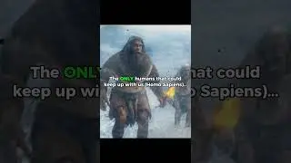 Homo Sapiens 🔥