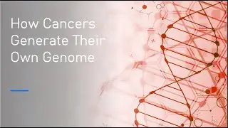 How Cancers Generate Their Own Genome | What is ecDNA?
