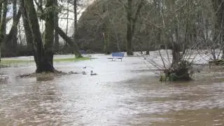 McCormick Park flooding interview