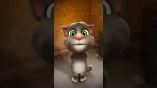 tere vaste mein falak se 🌜launga#song #like #CB tillu billu 😚 ❣️❣️❣️❣️