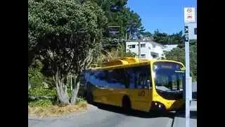 Go Wellington trolleybus