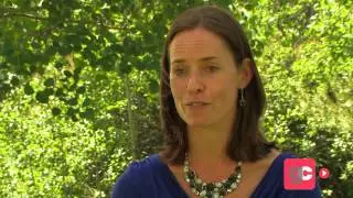 Erin Currier Tells Us About Pew Charitable Trusts