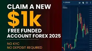 Как получить бесплатный форекс-счет на 1000 долларов в 2025 году (без депозита)