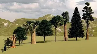 Tree Size Comparison | 3D