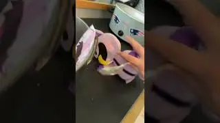 Catnap makes nuclearrabbit juice