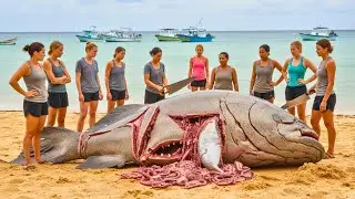 10000kg Giant Grouper 🐟 Unbelievable Deep Sea Fishing and Filleting Skills
