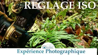 R&eacute;glage ISO comment le maitriser? | Photographie de paysage