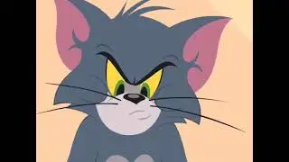 The Tom and Jerry Show Season 1 Episode 20 Superfied ,#TomAndJerry, #TomAndJerryCartoon,