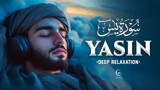 Surah Yaseen (Yasin) سورة يس | Relaxing Tilawat to Ease the Heart