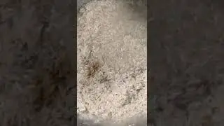 Cuire du riz basmati en grain au four