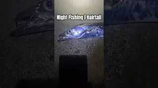 Night Fishing for Hairtail | Rock fishing #fishing #australiafishing #australia #fish #sea #ocean