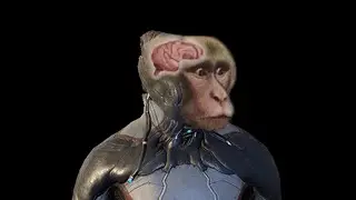 Warframe neuron activation