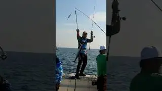 How to catch kingfish using light jigs! #fishing #fish