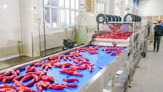 Fully automatic sweet potato cleaning and air drying production line