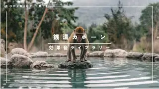 【商用利用可能/フリー素材/著作権フリー/効果音】銭湯カポーン