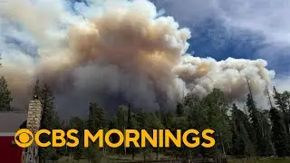 Wildfires are burning in at least two national parks. Here's what's fueling the intense flames.