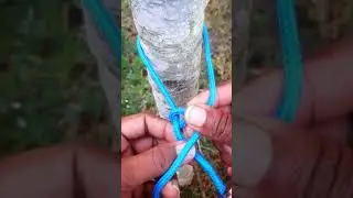 Easy Knot Skill Tips everyone should  know #gtknot #diytips #campinghacks #campingknots #rope #knot
