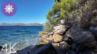 Walk in Alcudia (Bonaire Hidden Calas) // Mallorca 4K