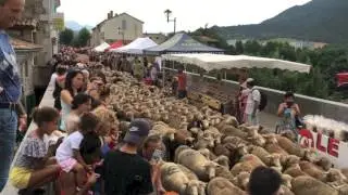TRANSHUMANCE DIE 2017