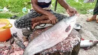 Traditional Bronze Featherback Fish Cutting | Village Style Preparation