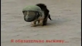 Анатолий Тихий. Северный заработок. STALKER: DayZone | Official