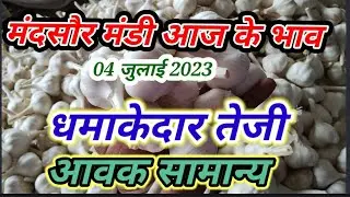 mandasaur mandi lahasun bhav 04/07/2023