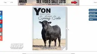 The Angus Report, February 19, 2018: Angus Sales TV