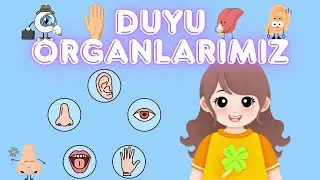 Duyu Organlarımız/Eğitici Çocuk Videoları/Çocuk Şarkıları