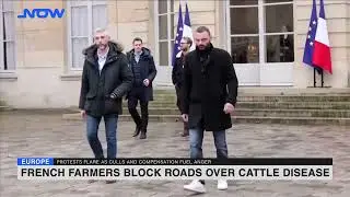 French farmers block roads over cattle disease