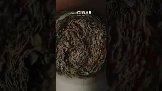 nextCIGAR Anniversary Blend