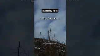 Integrity Fact💪🫡 #shorts#subscribe#youtubeshort
